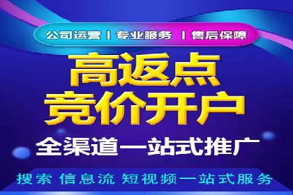 揭秘百度竞价广告：实战案例分析及优化策略